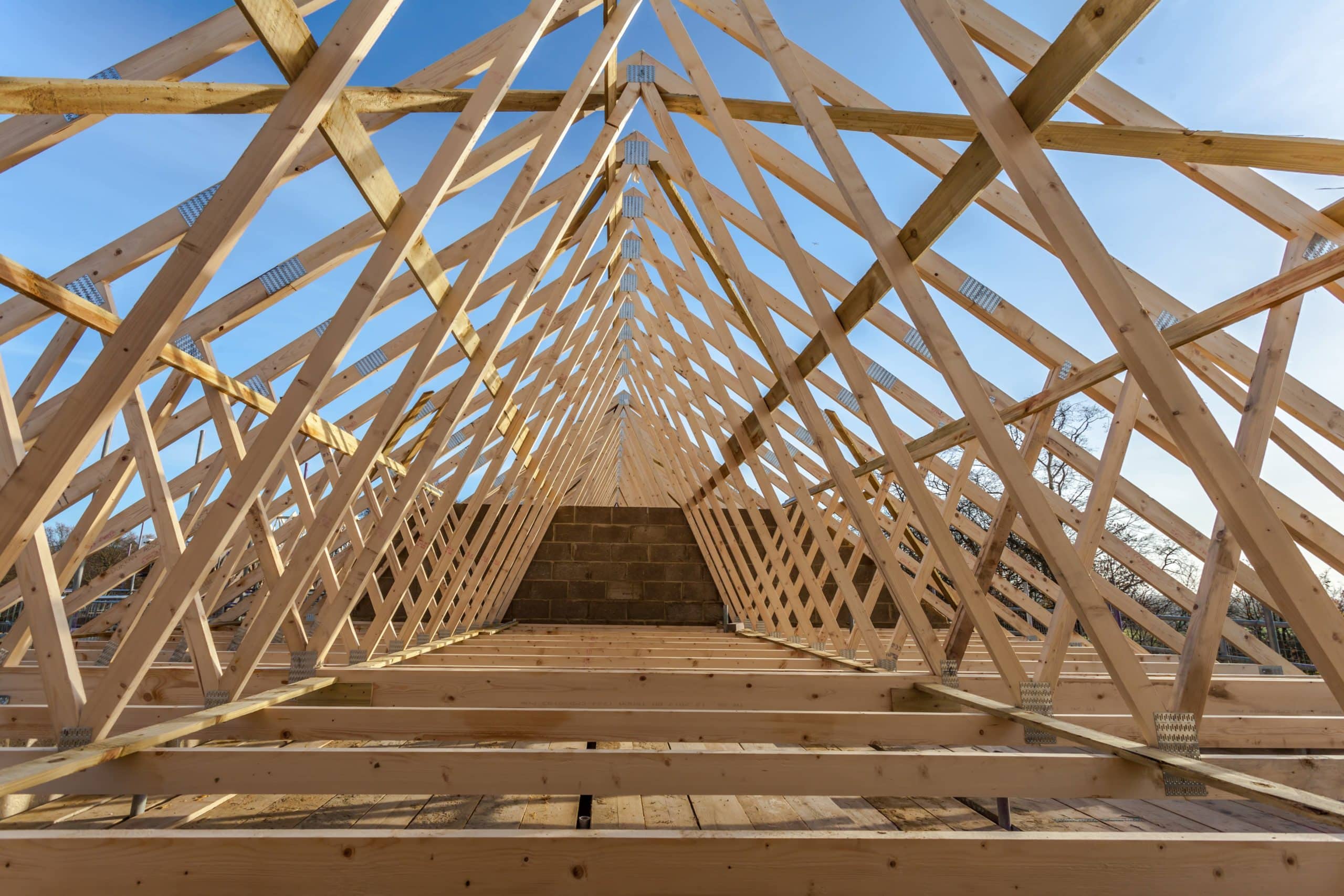Trusses in Structural Engineering: Types & Design